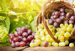 �������, ��������, ����