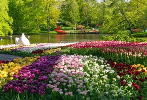 �������, ����, ��������, ����, �����