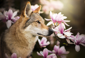 ������, ��, �����, �������, �����, �����, ��������