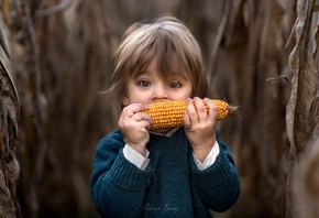 Adrian C. Murray, , , , 