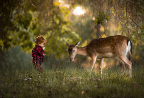 Adrian C. Murray, , , , , , , 