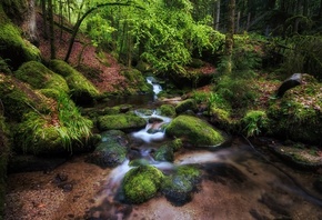 �������, ���, �������, �����, �����, ���