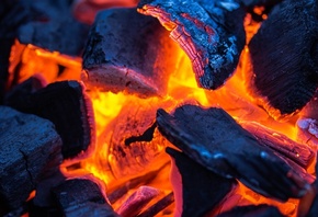 ����, �����, �����