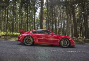 Porsche, �����, ��������, ������, ���