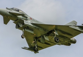 ���������, ������, ������, ������� ����