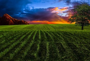 �������, ����, ������, ����, ������, �����, art