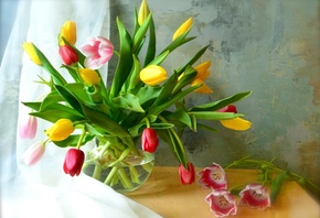 столик, ваза, аквариум, цветы, тюльпаны, вуаль, занавеска