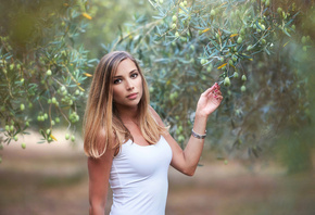 �������, �������, ������, ������, �����, ������, ������