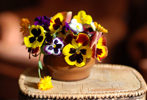салфетка, ваза, цветы, анютины глазки