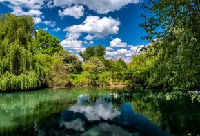 ����, �������, ���, ����, ������, ���������, �����