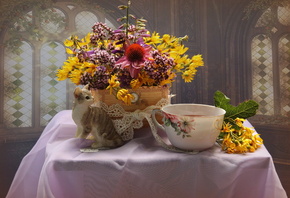 ���������, still life, ����, ��������, �����, �������, ����, �����, �����,  ...