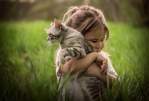 ������, �������, ��������, ������, �������, �������, �����