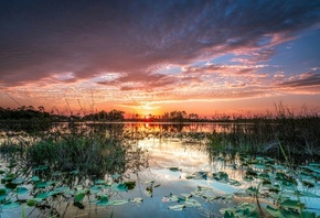 �������, ����, �����, ������, ������