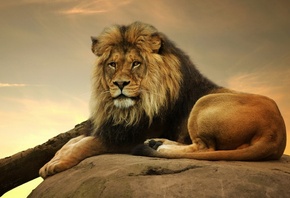 ���, ������, ������, �������