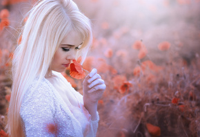 Zan Foar, �������, ���������, �������, ����, ����, �����, ����