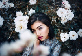 �������, ��������, ������, ������