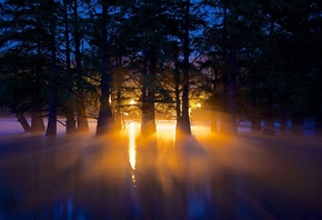 ����, �������� ��������, �����, �������, ����, ��������� ����