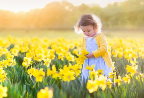 ������, �������, ������, ��������, �������, �����, ����, �����, ��������