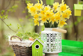 �����, �����, ��������, �������, ����������, �����