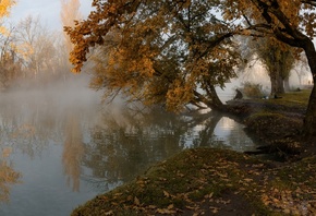 �����, ���, �������, ����, ����, �����