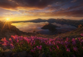 �������, ������, ����, �����, �����, �����, ������, ����