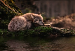 ��������, ������, ����, �������, ����, �����, ������