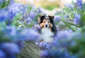 ��������, ������, ��, �����, �����, ��������, �����