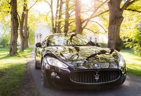 , Maserati, , 