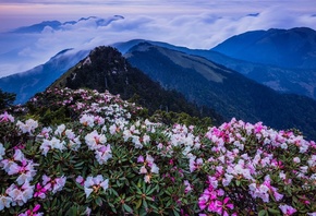 , , , , , , , , , , , , , 