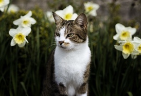 ��������, ���, �����, �����, ��������, �����