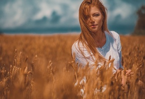 �������, �����, ����, �������