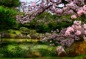 Ninomaru Garden, Kyoto, , , , , , , 