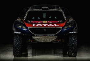 offroad, peugeot, rally