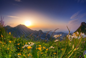 ������, �������, ����, ���, �����, �����, ������