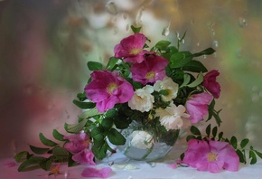 Марина Орлова, ваза, аквариум, ветки. цветы, шиповник, капли, вода