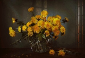 Марина Орлова, ваза, аквариум, цветы, одуванчики, весна, окно