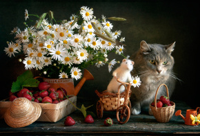 корзинка, ягоды, клубника, лейка, цветы, ромашки, животное, кот, кошка, игрушка, мышь