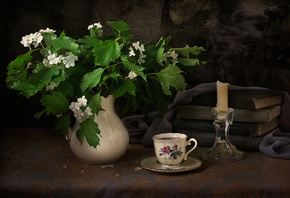 Elena Pankova, , still life, , , , , ,  ...