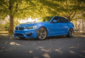 BMW, M3, F80, Blue, Street