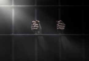 ����, �������, ���� �����, ��