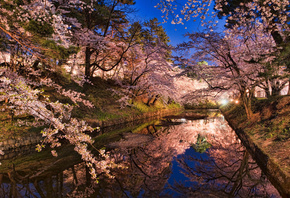 Япония, парк, берега, огни, канал, вода, ночь, Хиросаки, сакура, весна, цве ...