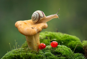 �����, �������, ���, ����, ������, �����