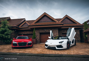 martin cyprian, ����� ����, ���, ����, ����������