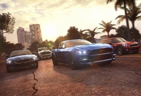 ����, �����, ���, ���������