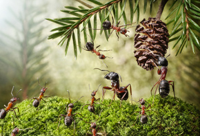 �����, �������, �������, ���, �����, ���, ����, �����, ����, ������