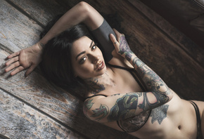 women, Jack Russell, tanned, tattoo, top view, belly, lingerie, lying on ba ...