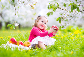 ребёнок, девочка, платье, кофта, природа, трава, ветки, цветы, яблоки, фрук ...