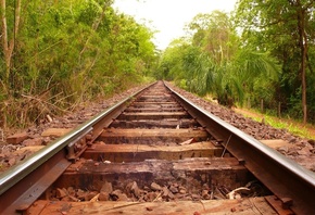 railway, forest, tree, sky