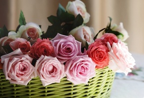 цветы, розы, корзинка