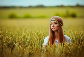 дівчина, поле, пшениця, українка, вишиванка, довге волосся, красуня, погляд